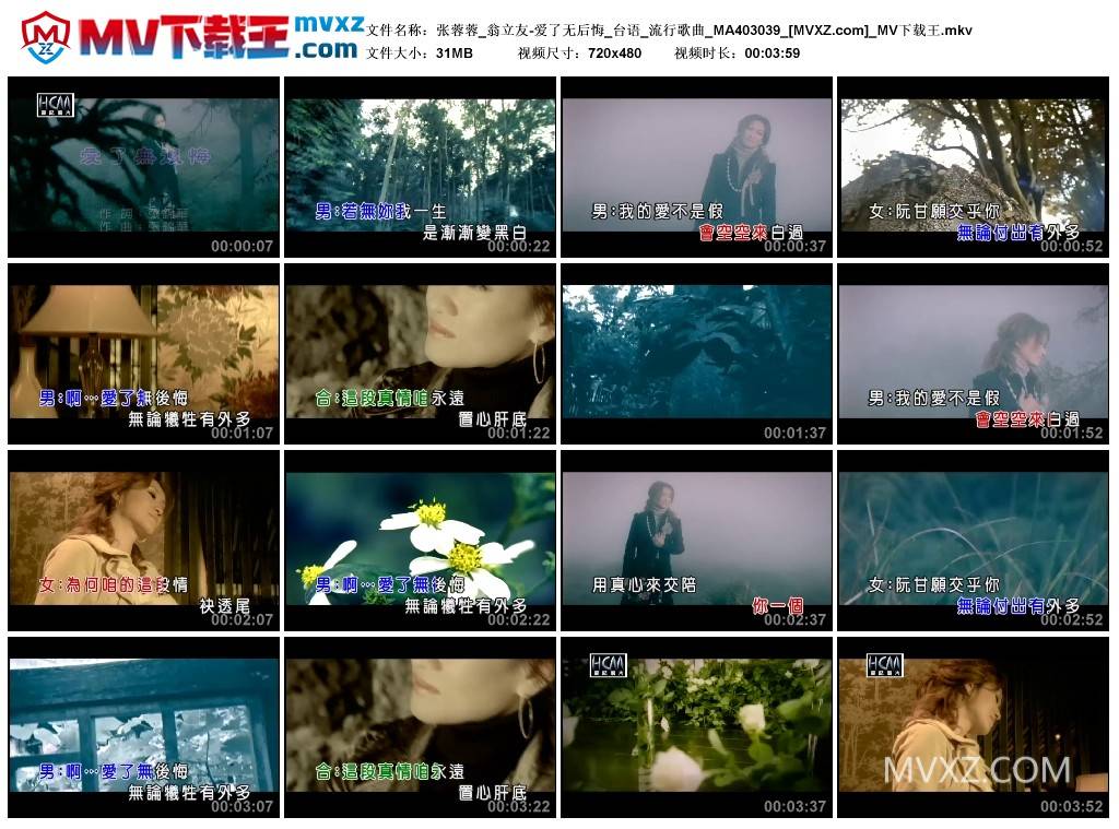 张蓉蓉_翁立友-爱了无后悔_台语_流行歌曲_MA403039